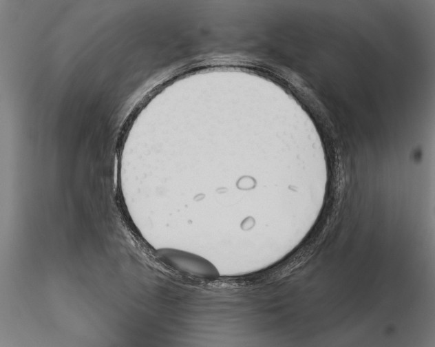 X0000115241221200912111046