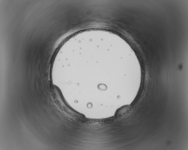 X0000115241222200912111046