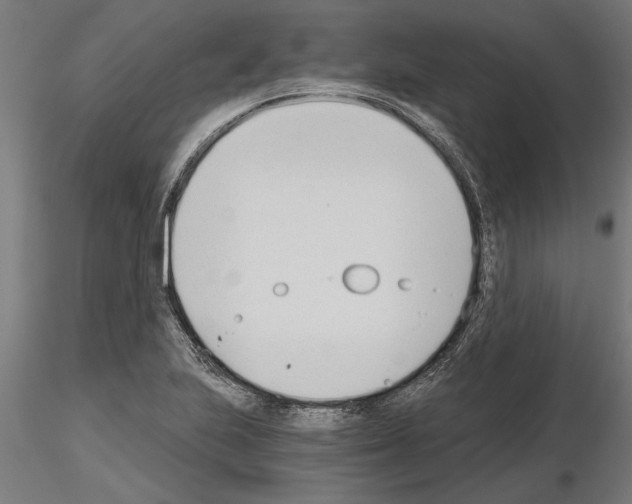 X0000115241223200912111046