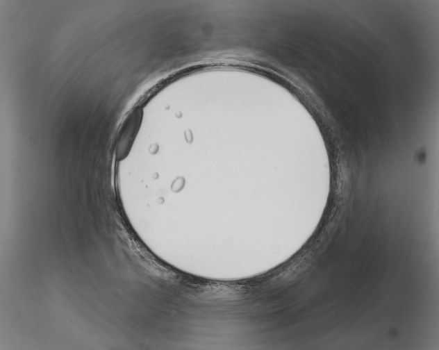 X0000115241224200912111046