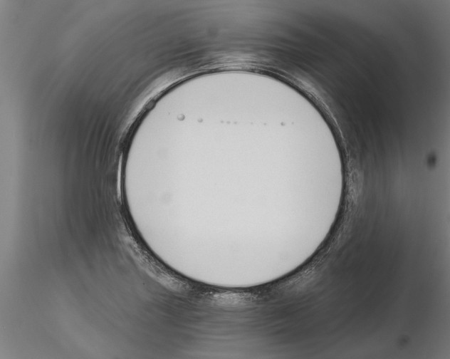 X0000115241227200912111046