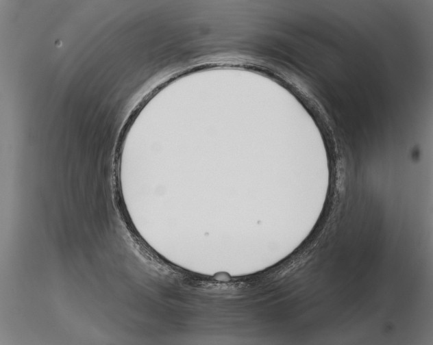 X0000115241229200912111046