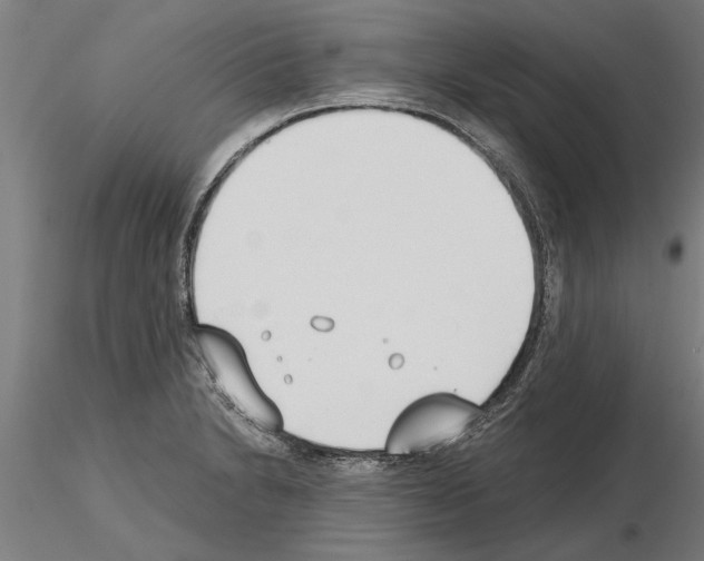 X0000115241230200912111046