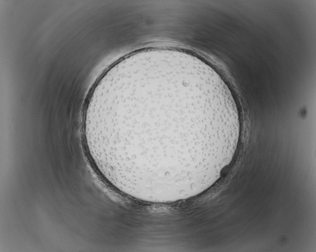 X0000115241231200912111046