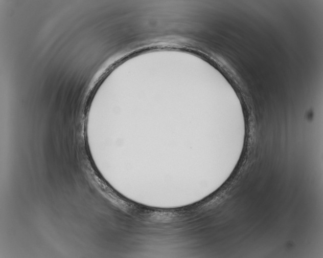 X0000115241232200912111047