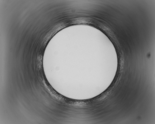 X0000115241233200912111047