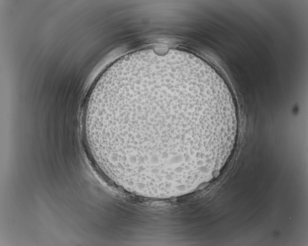 X0000115241235200912111047