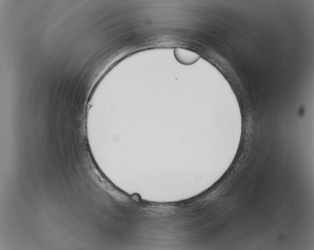 X0000115241236200912111047