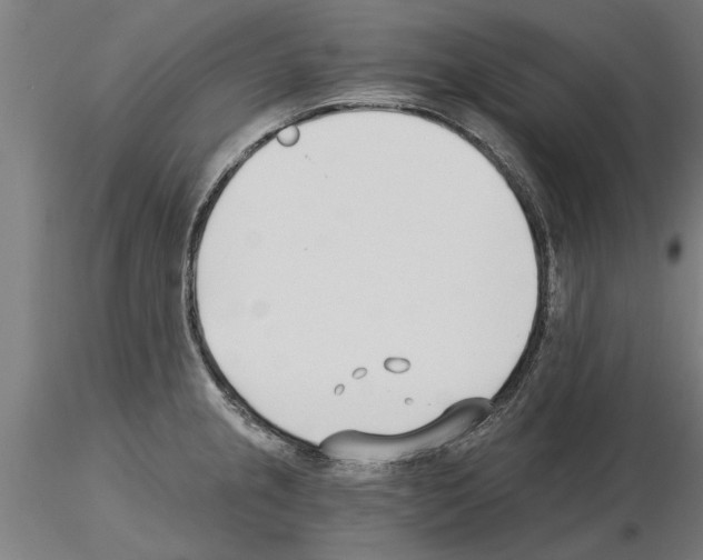 X0000115241237200912111047