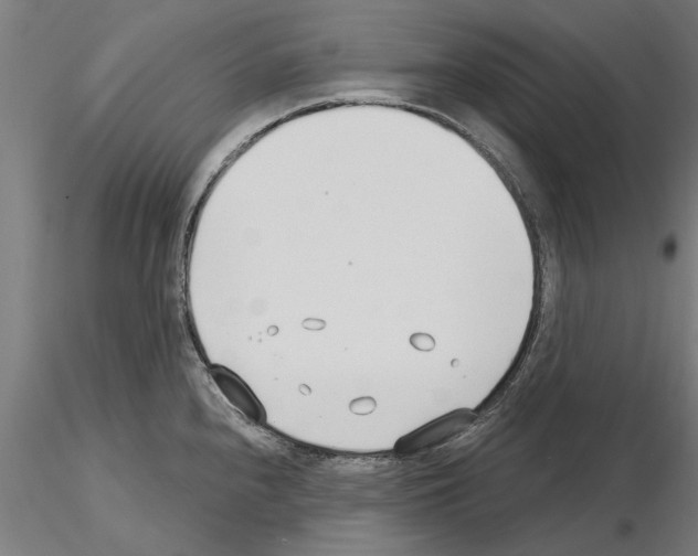 X0000115241240200912111047