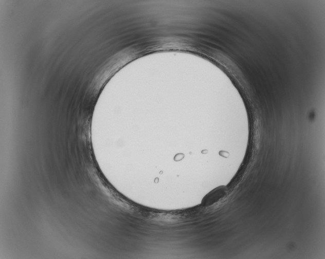 X0000115241241200912111047