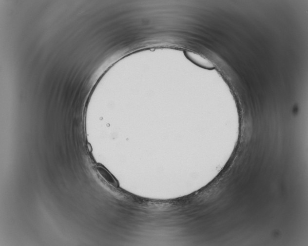 X0000115241242200912111047