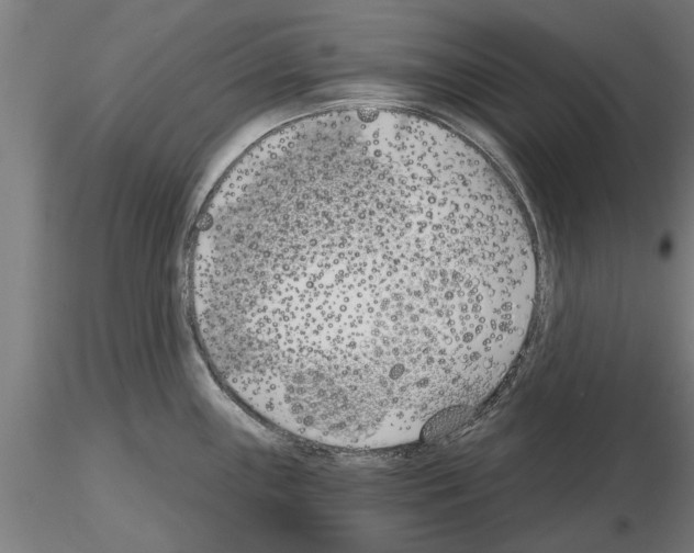 X0000115241243200912111047