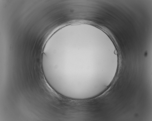 X0000115241244200912111047