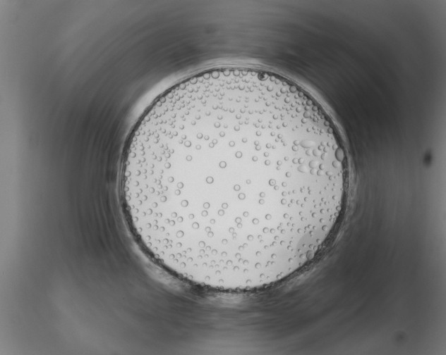 X0000115241245200912111047