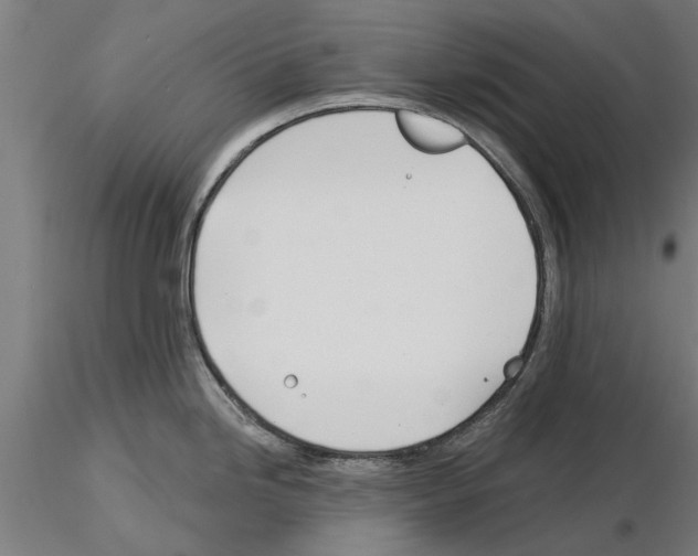 X0000115241246200912111047