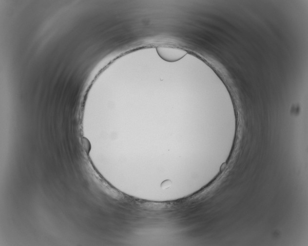 X0000115241248200912111047