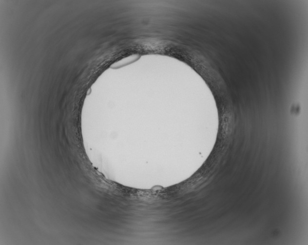 X0000115241249200912111046