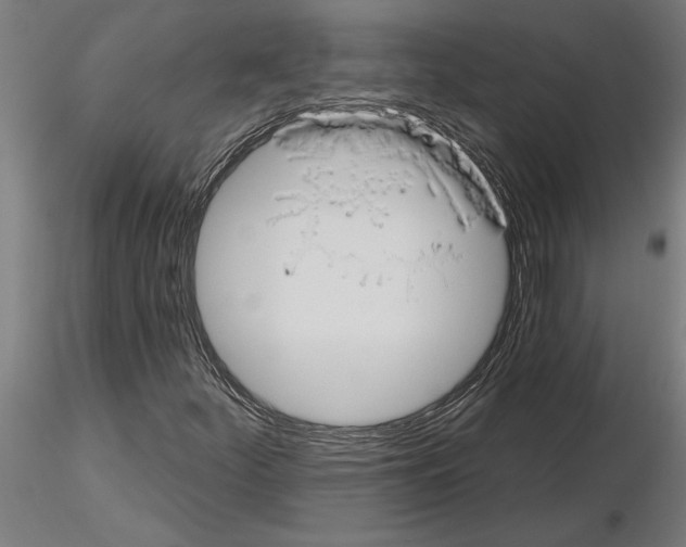 X0000115241252200912111046