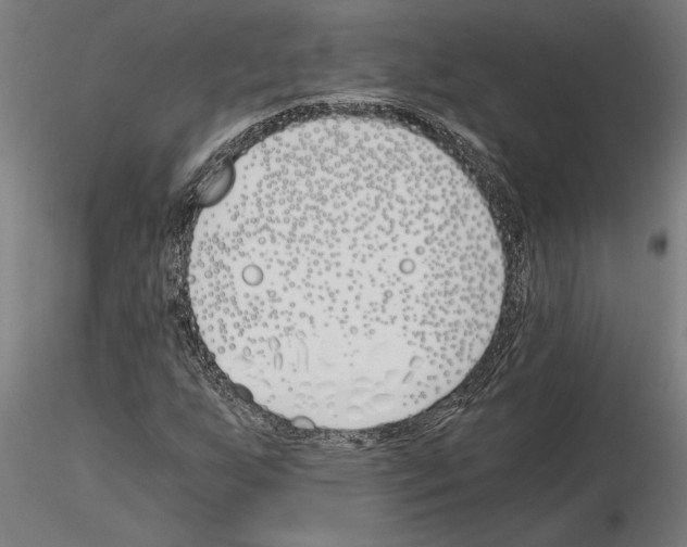 X0000115241255200912111046