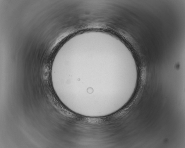 X0000115241258200912111046