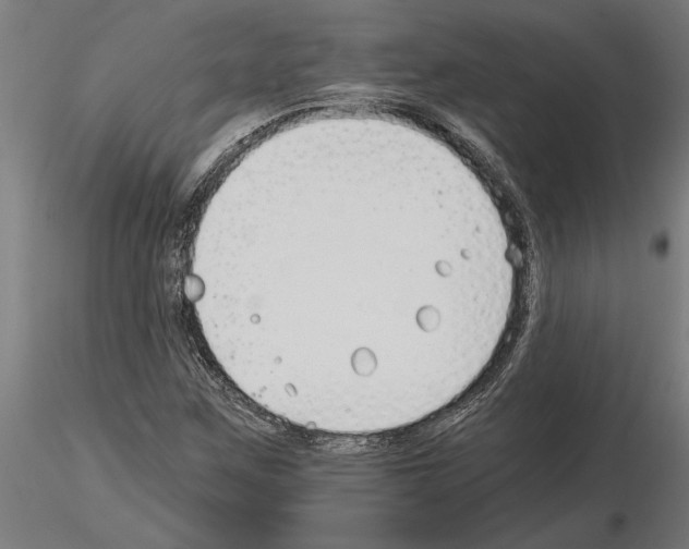 X0000115241259200912111046