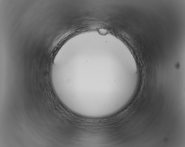 X0000115241261200912111046