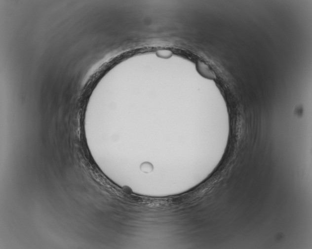 X0000115241262200912111046