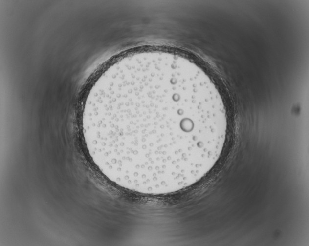 X0000115241263200912111046