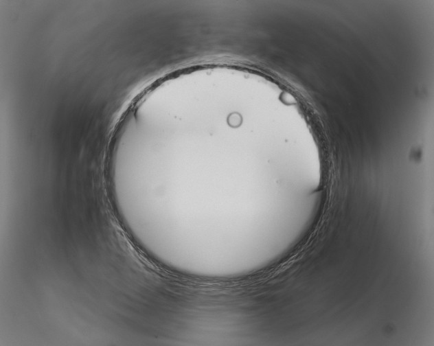 X0000115241264200912111046