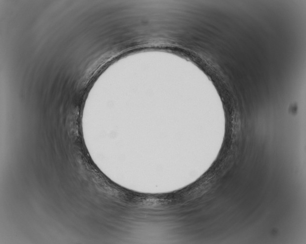 X0000115241265200912111046