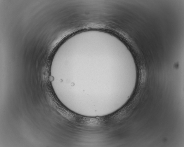 X0000115241266200912111046