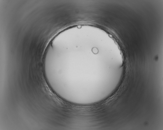 X0000115241268200912111046