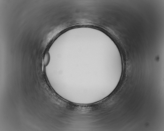 X0000115241269200912111046