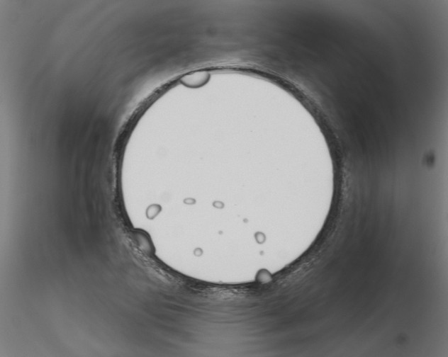 X0000115241270200912111046