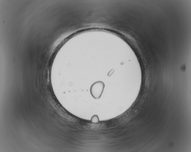 X0000115241271200912111046