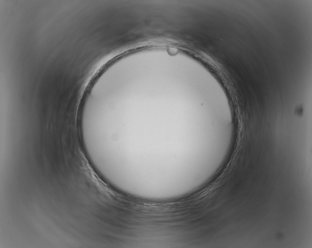 X0000115241272200912111046