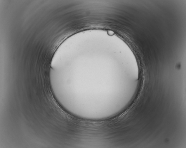 X0000115241273200912111046