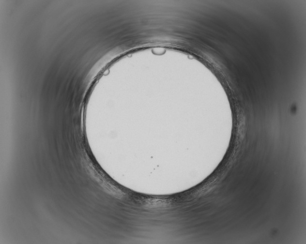 X0000115241275200912111046