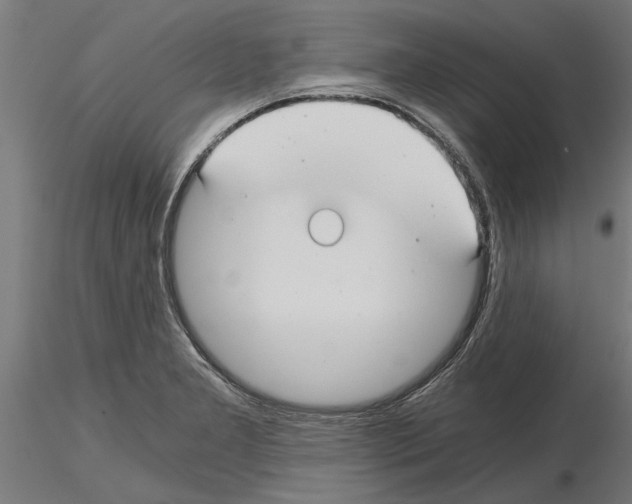 X0000115241277200912111046