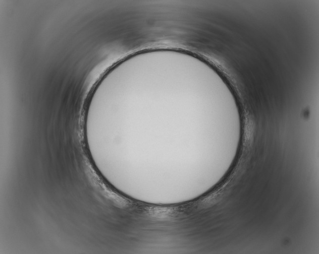 X0000115241278200912111046