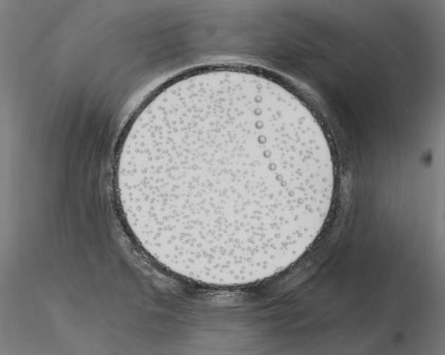 X0000115241279200912111046