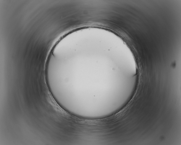 X0000115241280200912111046