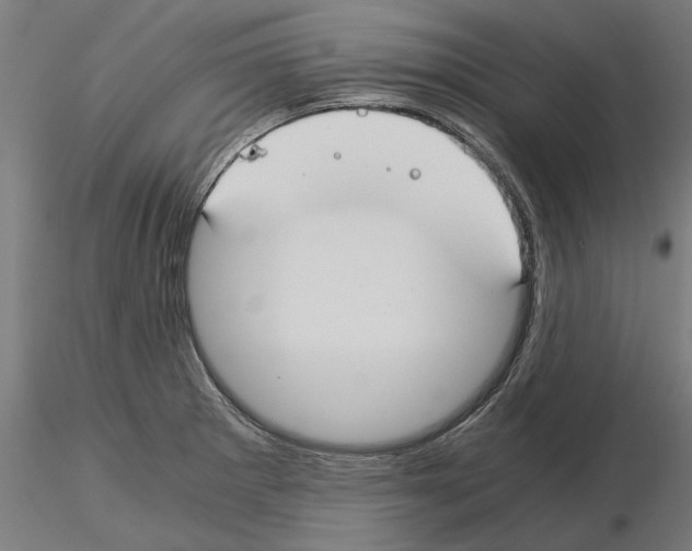 X0000115241281200912111046