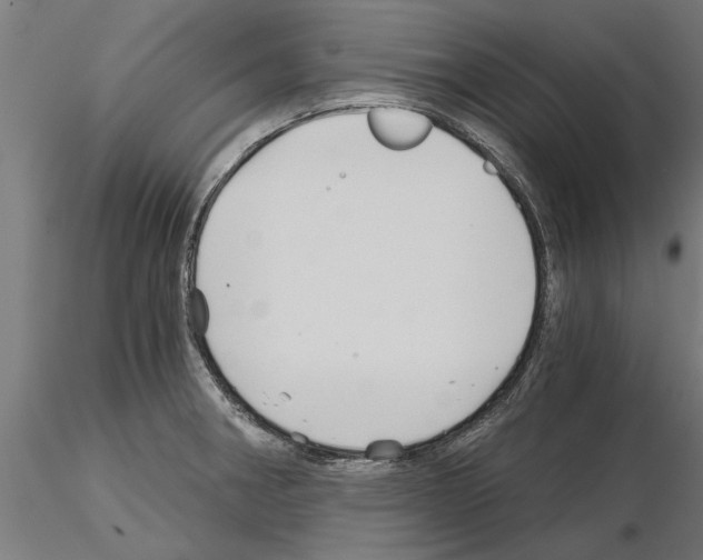 X0000115241282200912111046