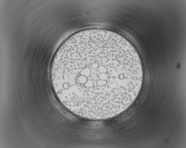 X0000115241283200912111046