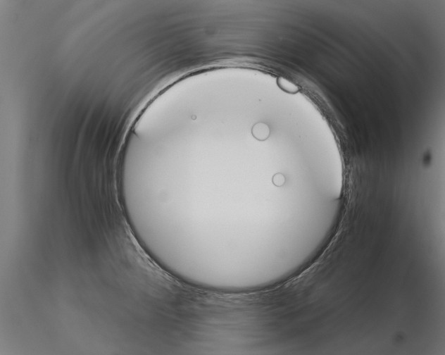 X0000115241284200912111046