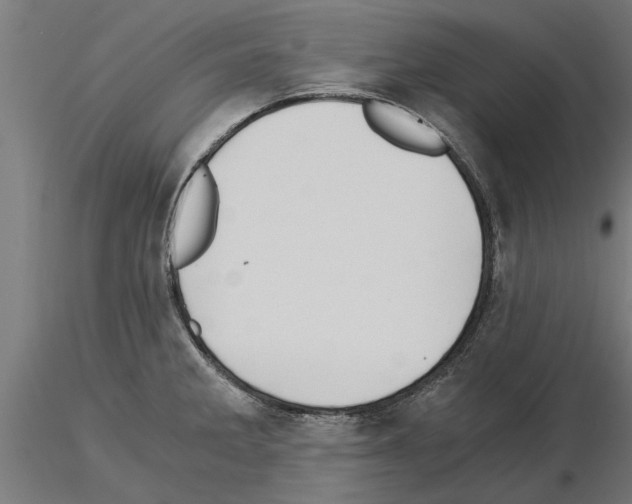 X0000115241285200912111046