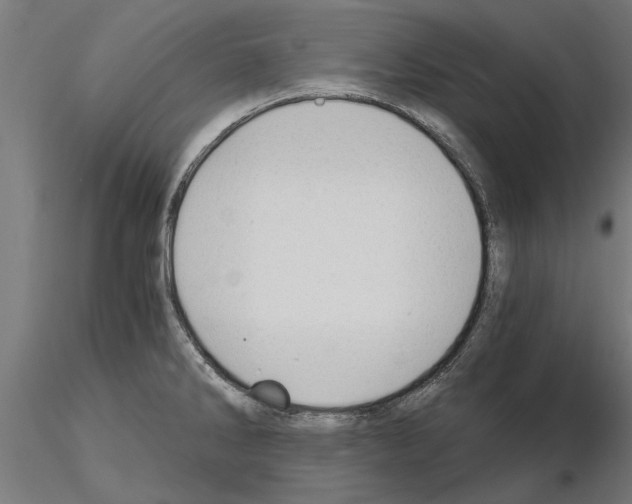 X0000115241286200912111046