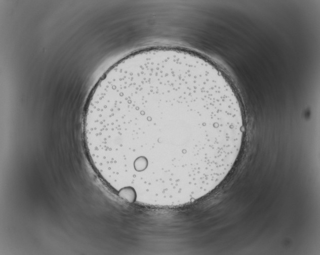 X0000115241287200912111046